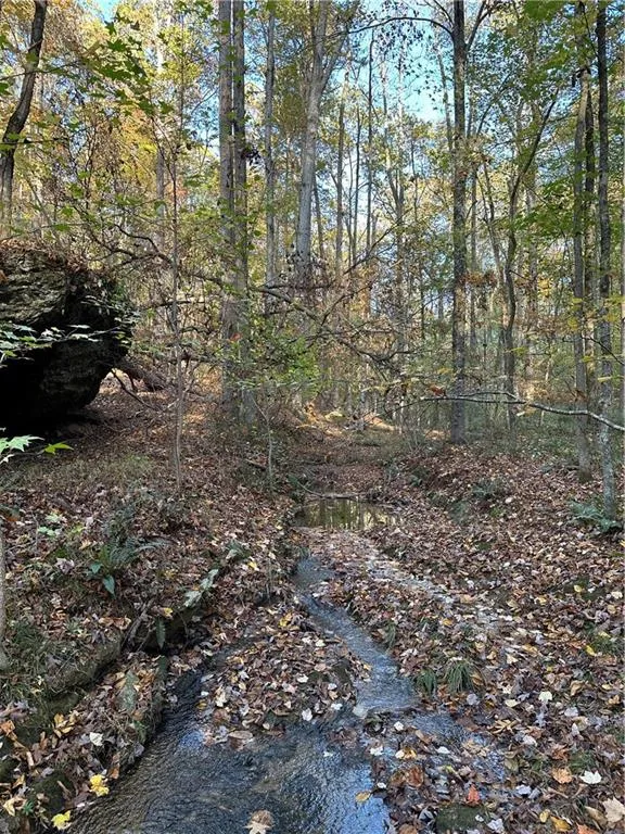 1806 Browning Road Rockmart, GA 30153