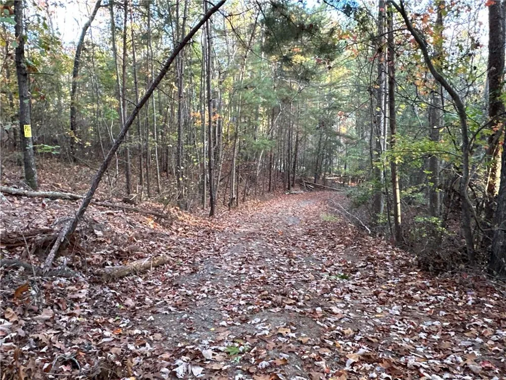 1806 Browning Road Rockmart, GA 30153