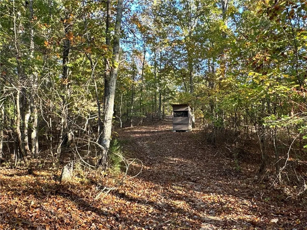 1806 Browning Road Rockmart, GA 30153