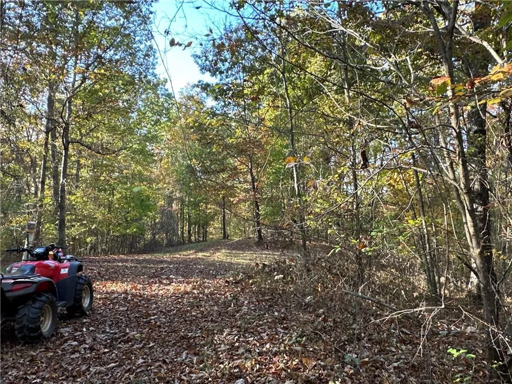 1806 Browning Road Rockmart, GA 30153