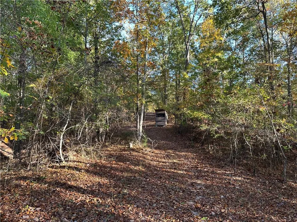 1806 Browning Road Rockmart, GA 30153