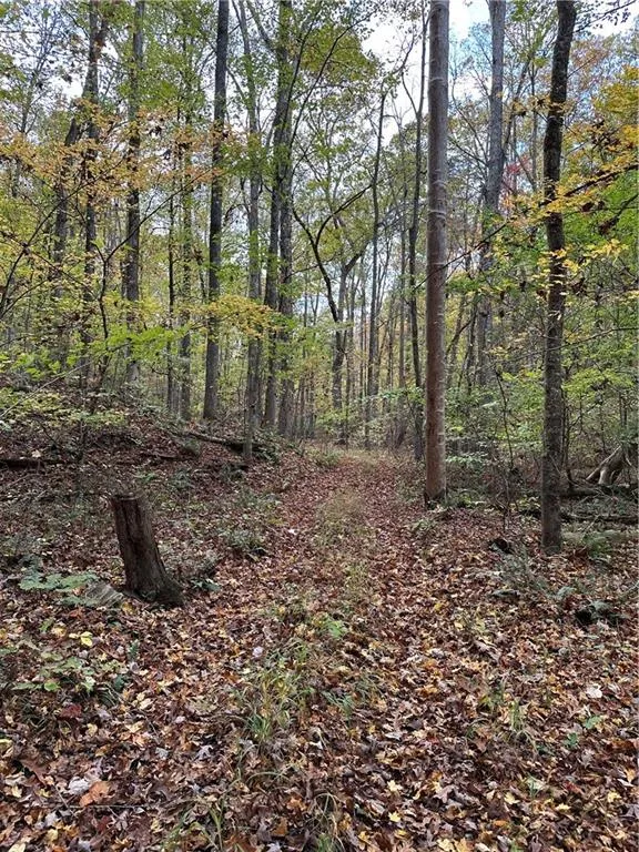 1806 Browning Road Rockmart, GA 30153