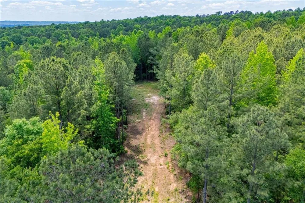 US Highway 78 Waco, GA 30182