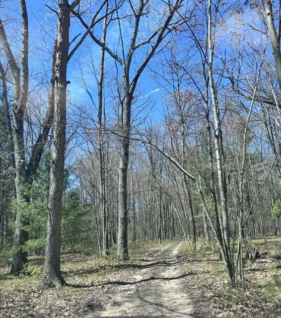 Pomeroy Springs Road Manistee, MI 49660