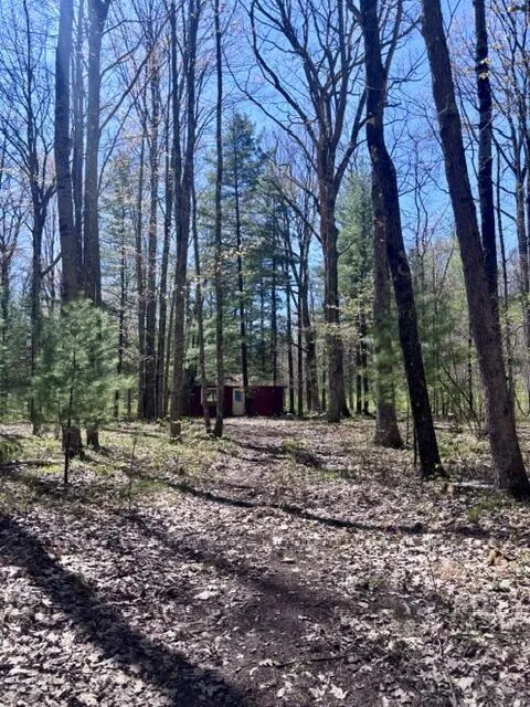 Pomeroy Springs Road Manistee, MI 49660