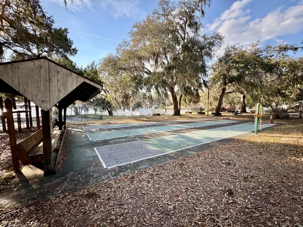 25232 NE 143RD STREET #178 Salt Springs, FL 32134