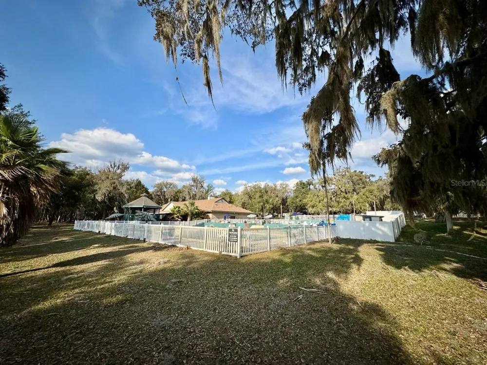 25232 NE 143RD STREET #178 Salt Springs, FL 32134