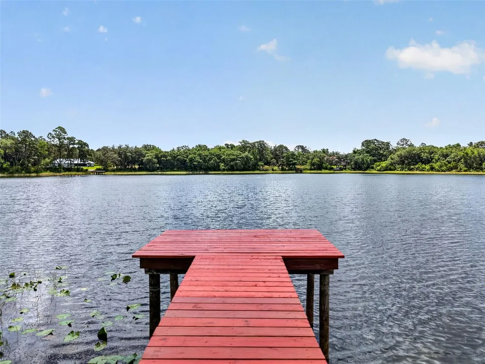 493 MALAUKA LOOP Ocklawaha, FL 32179
