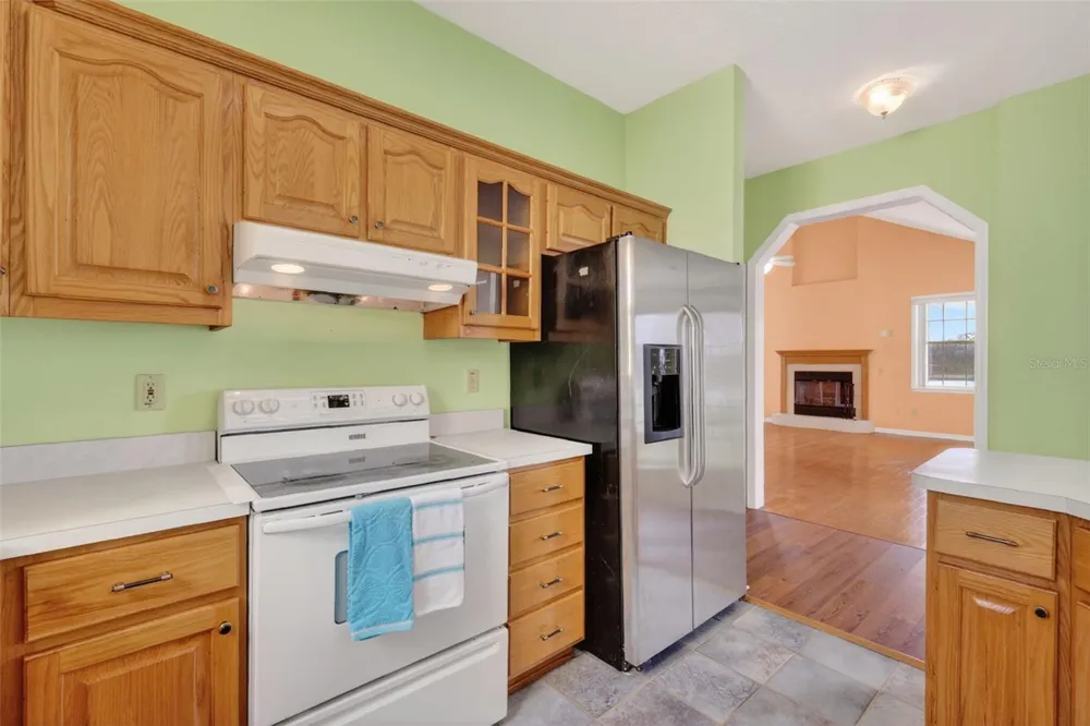 493 MALAUKA LOOP Ocklawaha, FL 32179