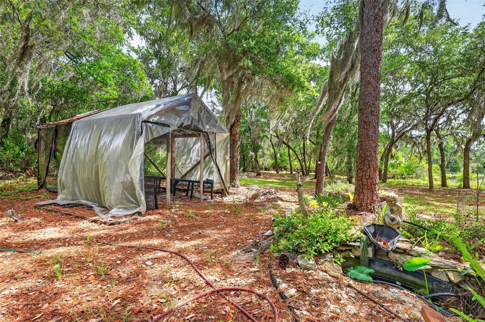 493 MALAUKA LOOP Ocklawaha, FL 32179