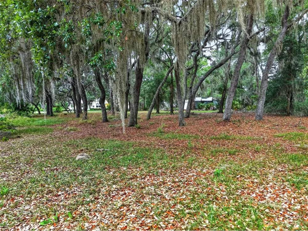 493 MALAUKA LOOP Ocklawaha, FL 32179