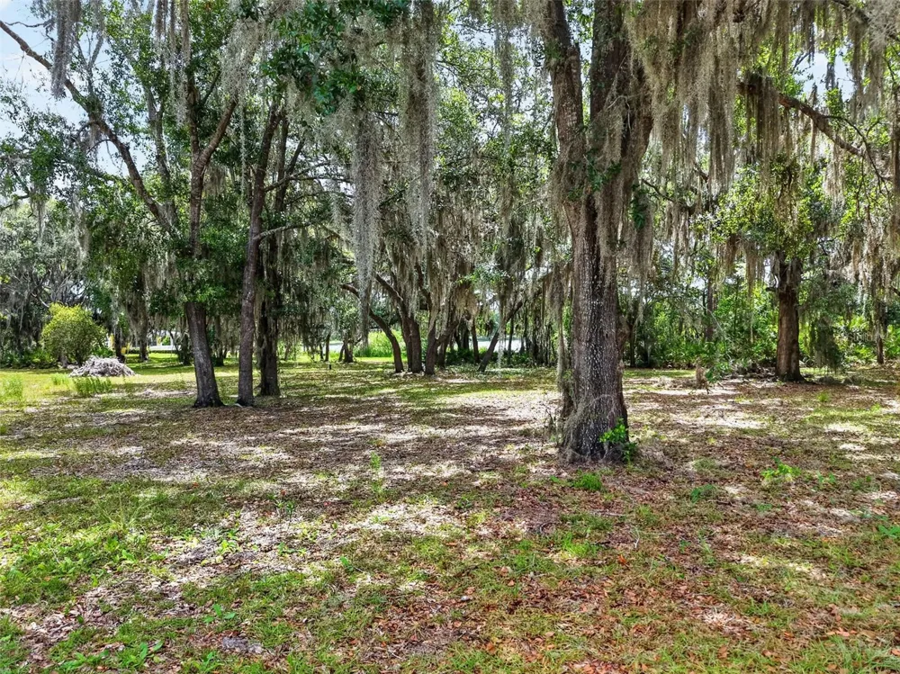 493 MALAUKA LOOP Ocklawaha, FL 32179