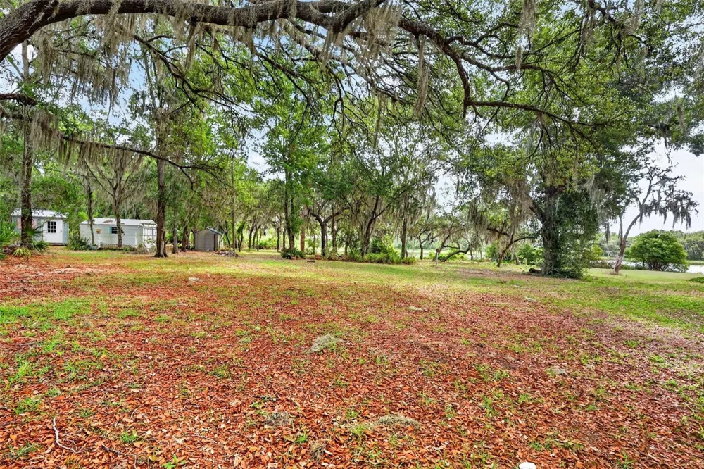493 MALAUKA LOOP Ocklawaha, FL 32179