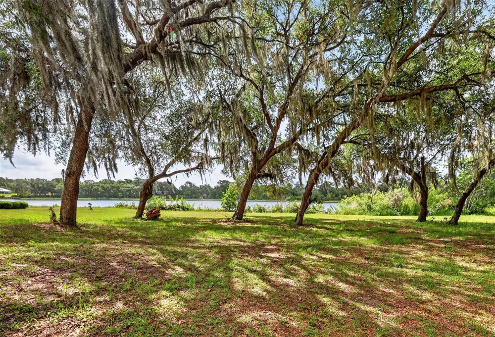 493 MALAUKA LOOP Ocklawaha, FL 32179