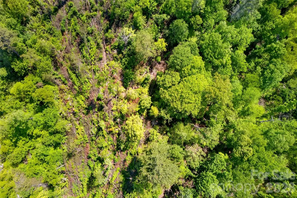 3361 Bethlehem Road Old Fort, NC 28762