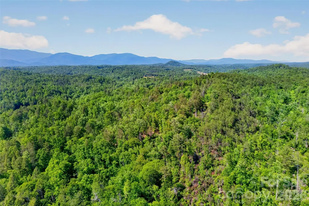 3361 Bethlehem Road Old Fort, NC 28762