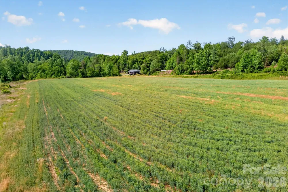 3361 Bethlehem Road Old Fort, NC 28762