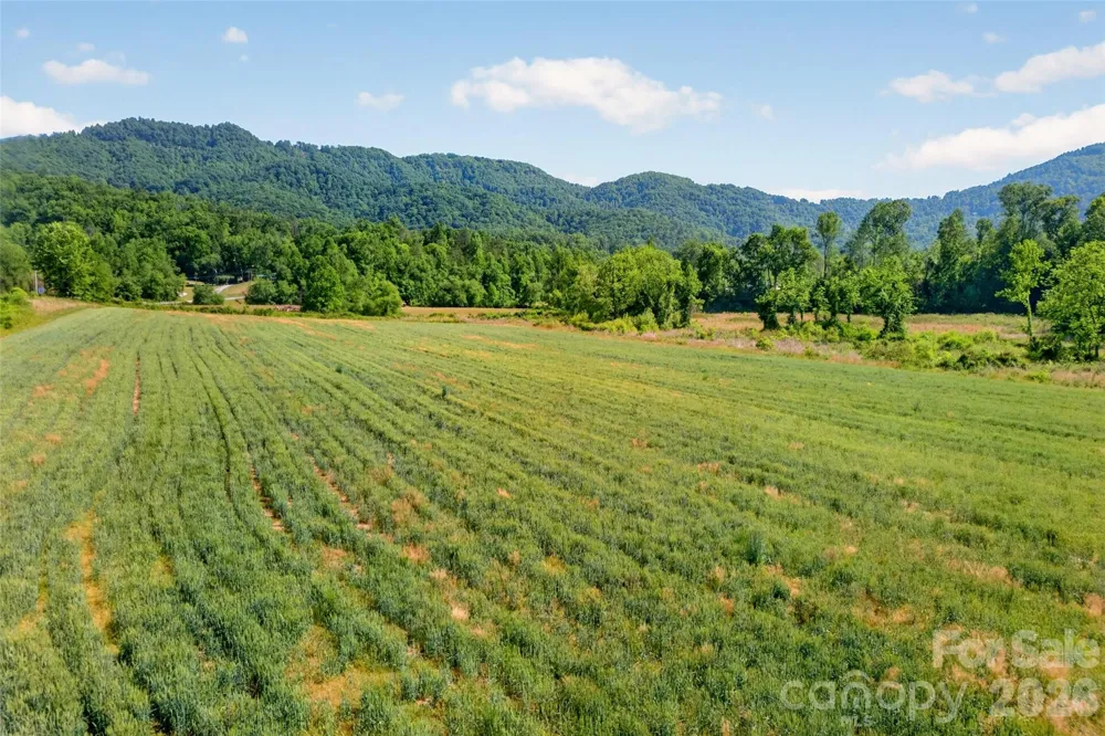 3361 Bethlehem Road Old Fort, NC 28762