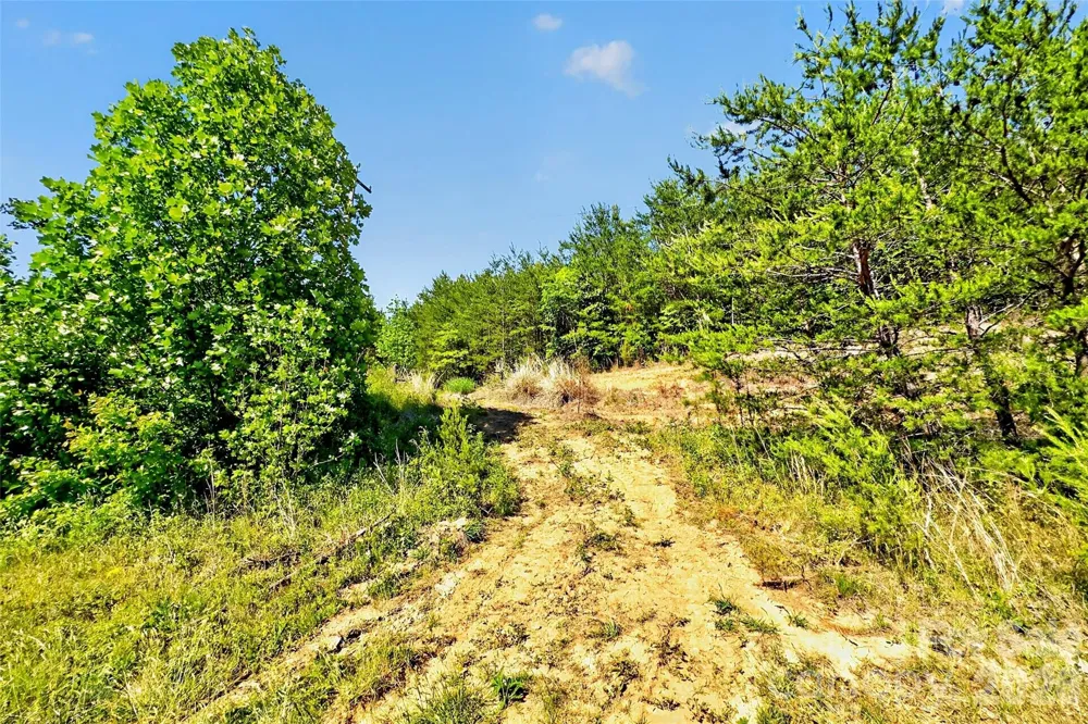 3361 Bethlehem Road Old Fort, NC 28762