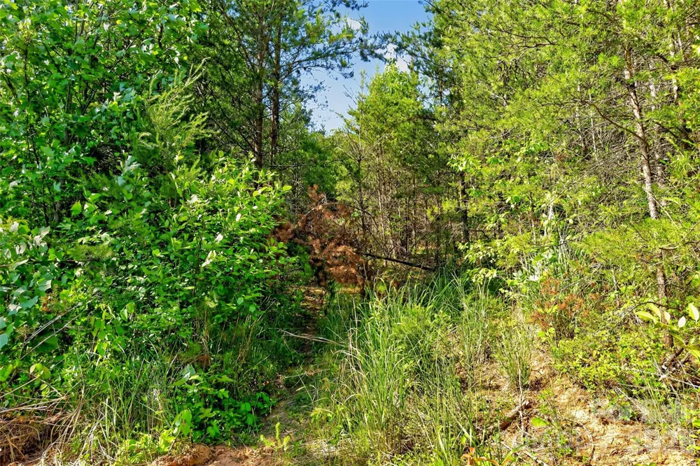 3361 Bethlehem Road Old Fort, NC 28762