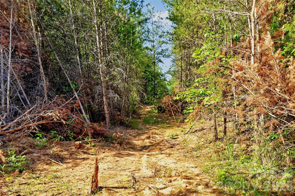 3361 Bethlehem Road Old Fort, NC 28762