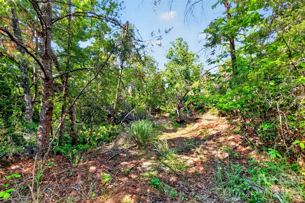 3361 Bethlehem Road Old Fort, NC 28762