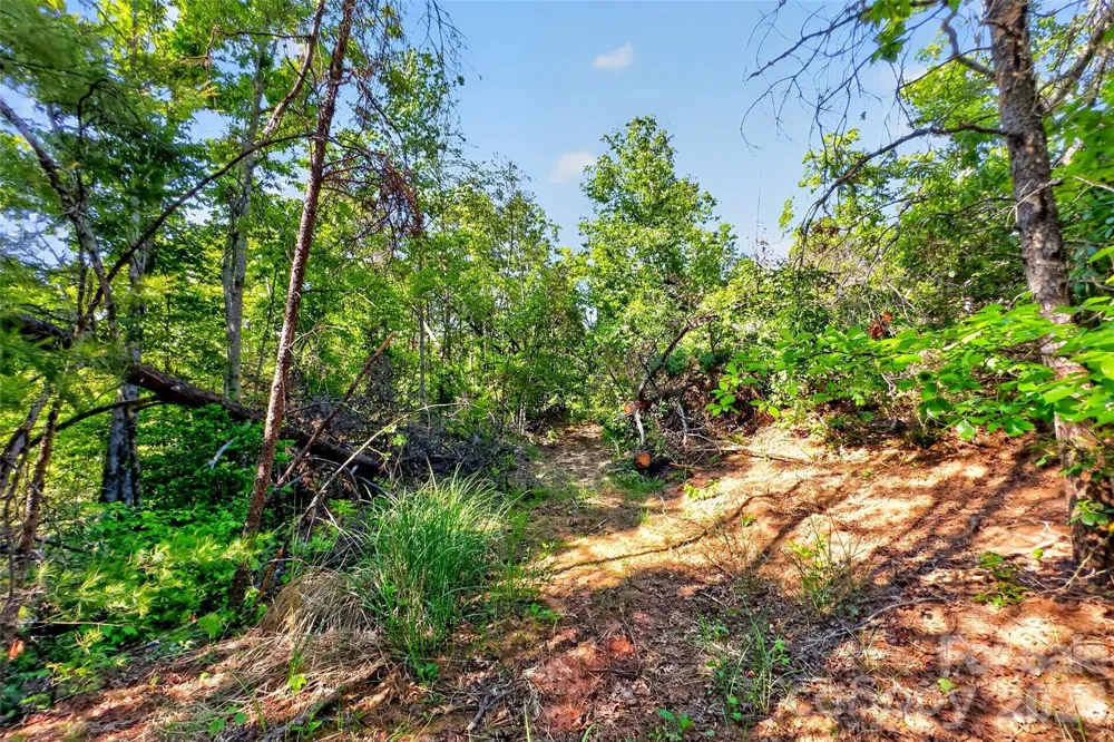3361 Bethlehem Road Old Fort, NC 28762