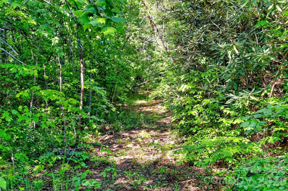 3361 Bethlehem Road Old Fort, NC 28762