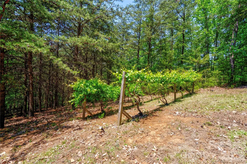389 Woodgate Drive Bostic, NC 28018