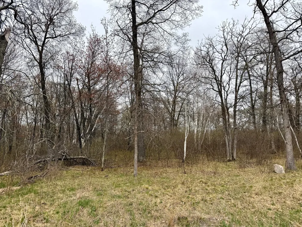 L17B1 Acorn Ridge Road NW Bemidji, MN 56601