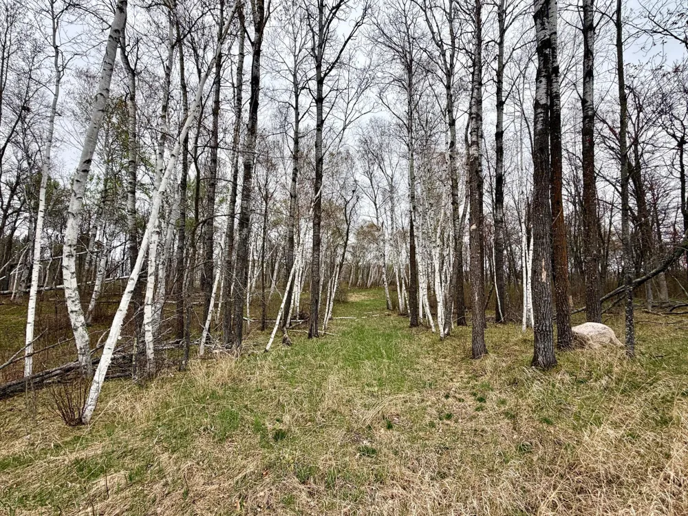 L17B1 Acorn Ridge Road NW Bemidji, MN 56601