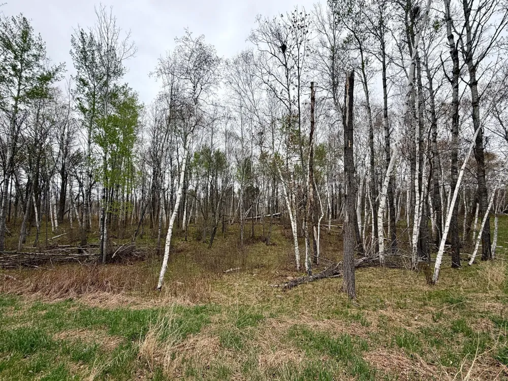 L17B1 Acorn Ridge Road NW Bemidji, MN 56601