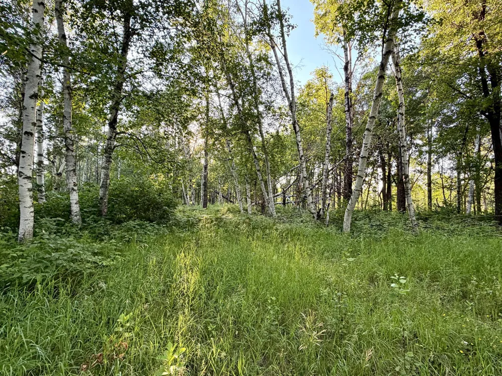 L17B1 Acorn Ridge Road NW Bemidji, MN 56601