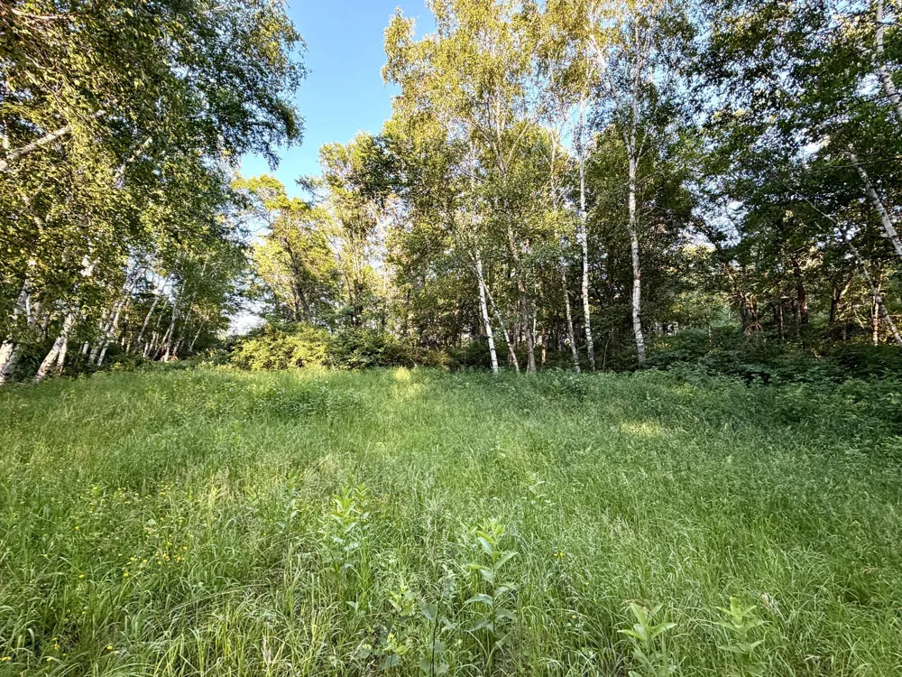 L17B1 Acorn Ridge Road NW Bemidji, MN 56601