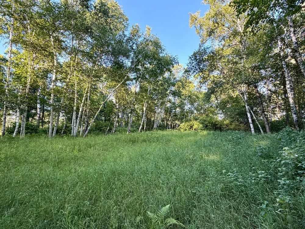 L17B1 Acorn Ridge Road NW Bemidji, MN 56601