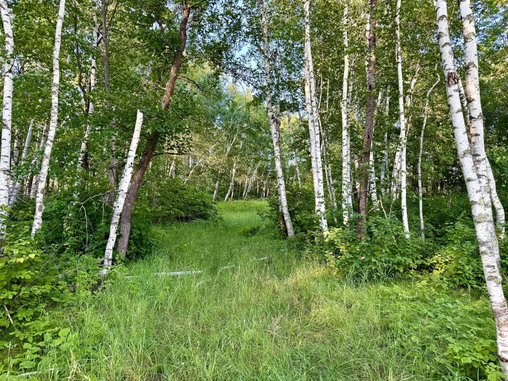 L17B1 Acorn Ridge Road NW Bemidji, MN 56601