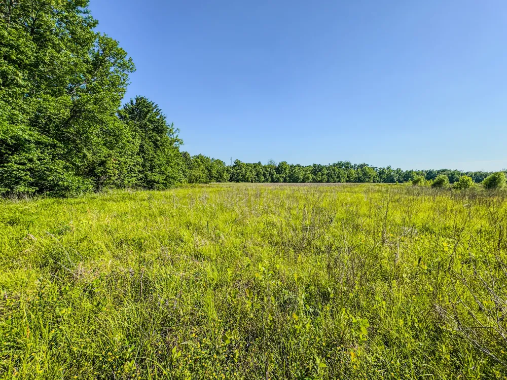 23620 Highway 69 Adamsville, TN 38310