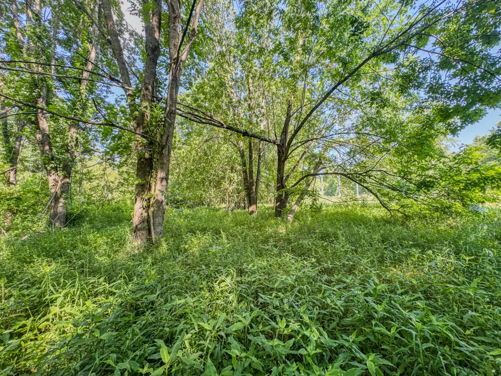 23620 Highway 69 Adamsville, TN 38310