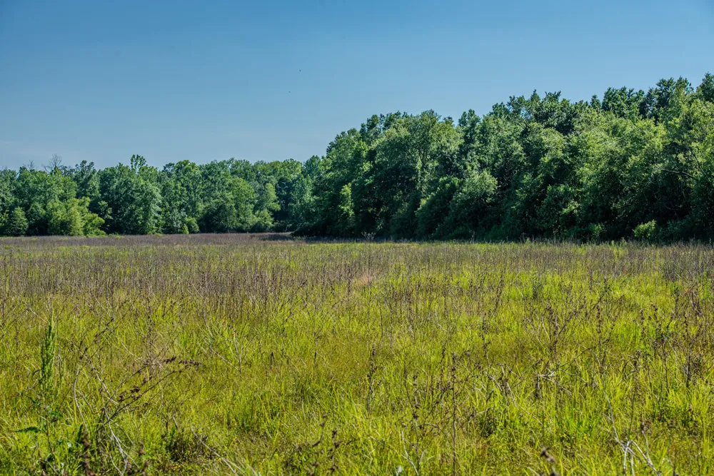 23620 Highway 69 Adamsville, TN 38310