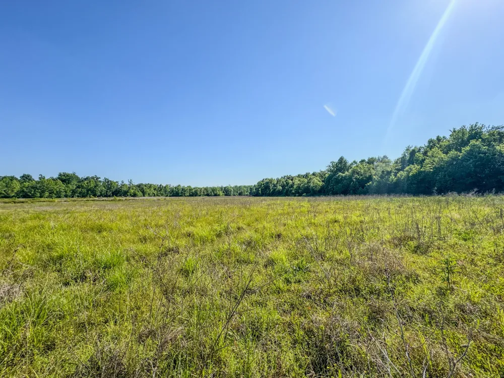 23620 Highway 69 Adamsville, TN 38310