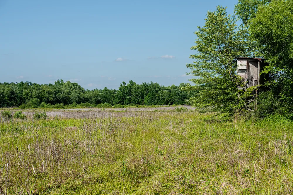 23620 Highway 69 Adamsville, TN 38310