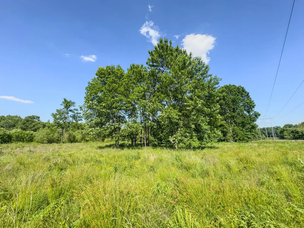 23620 Highway 69 Adamsville, TN 38310
