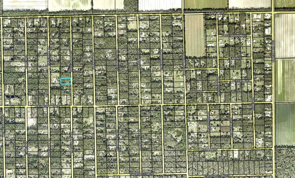 1352 ROSEWOOD STREET Bunnell, FL 32110