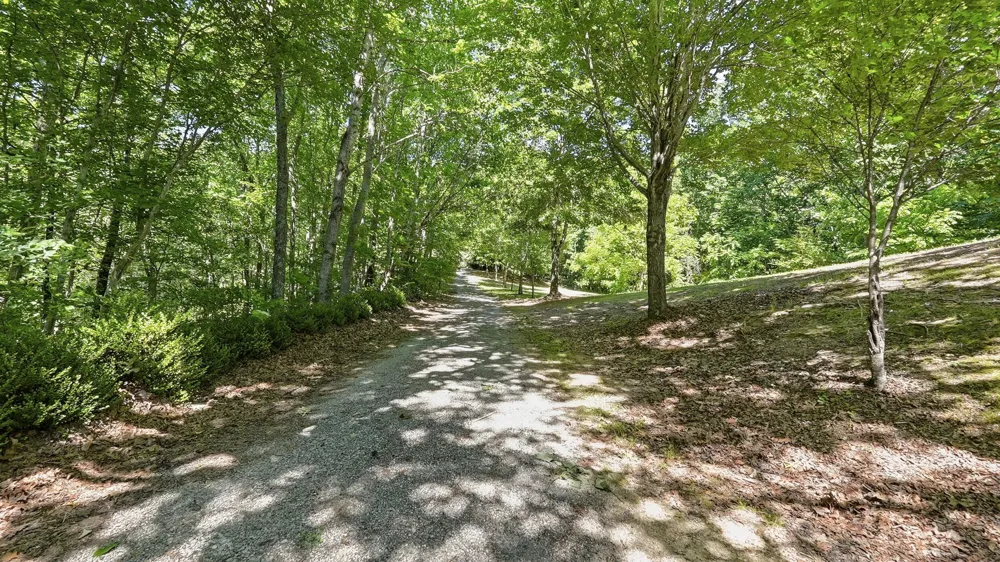 400 Ditch Gap Road Whitwell, TN 37397