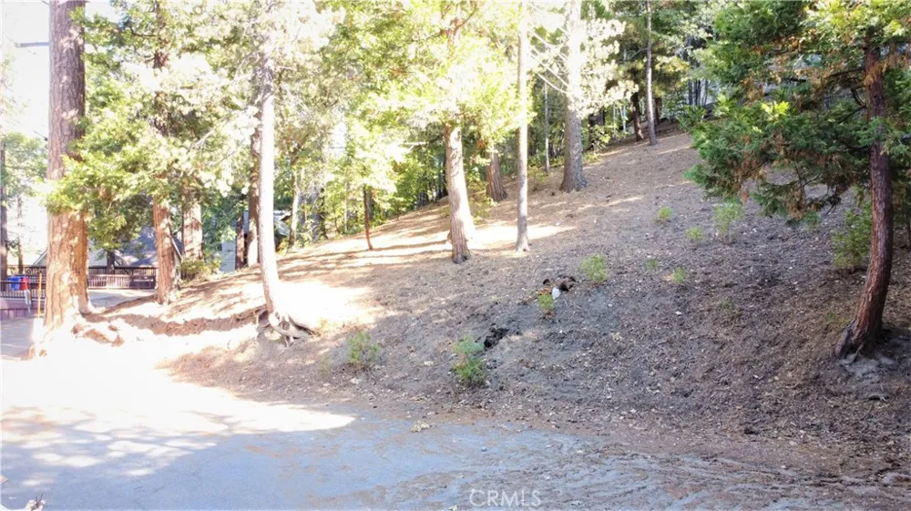 330 Castle Gate Road Lake Arrowhead, CA 92352