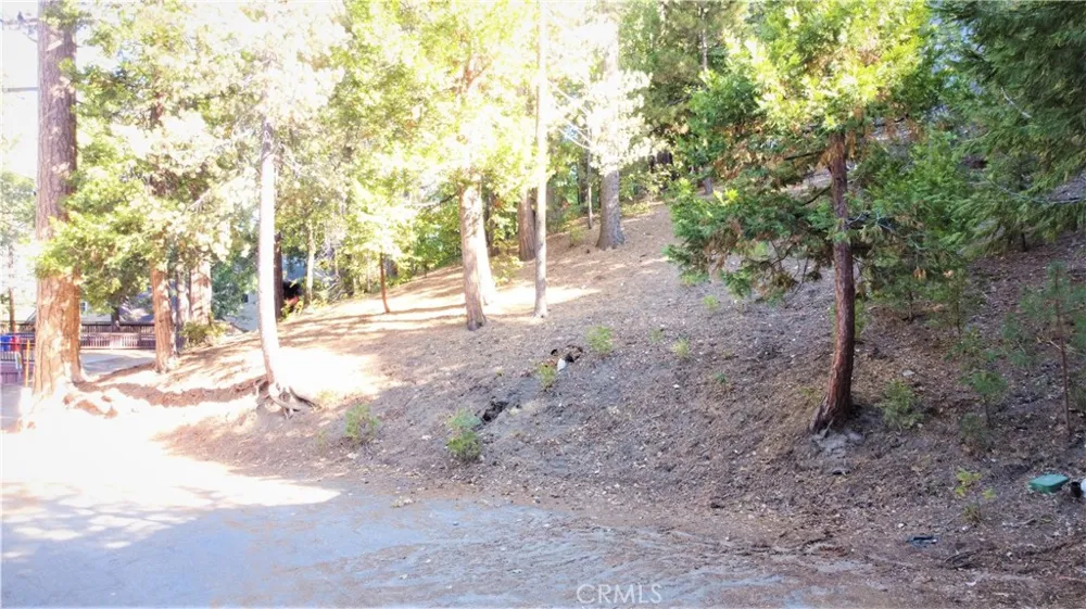 330 Castle Gate Road Lake Arrowhead, CA 92352