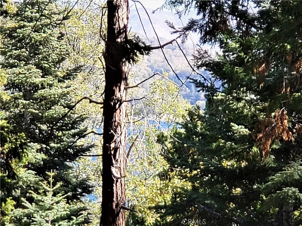 330 Castle Gate Road Lake Arrowhead, CA 92352