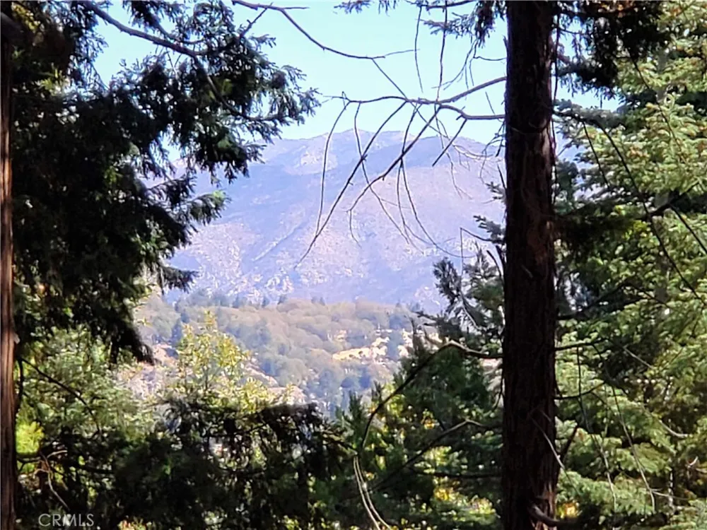 330 Castle Gate Road Lake Arrowhead, CA 92352