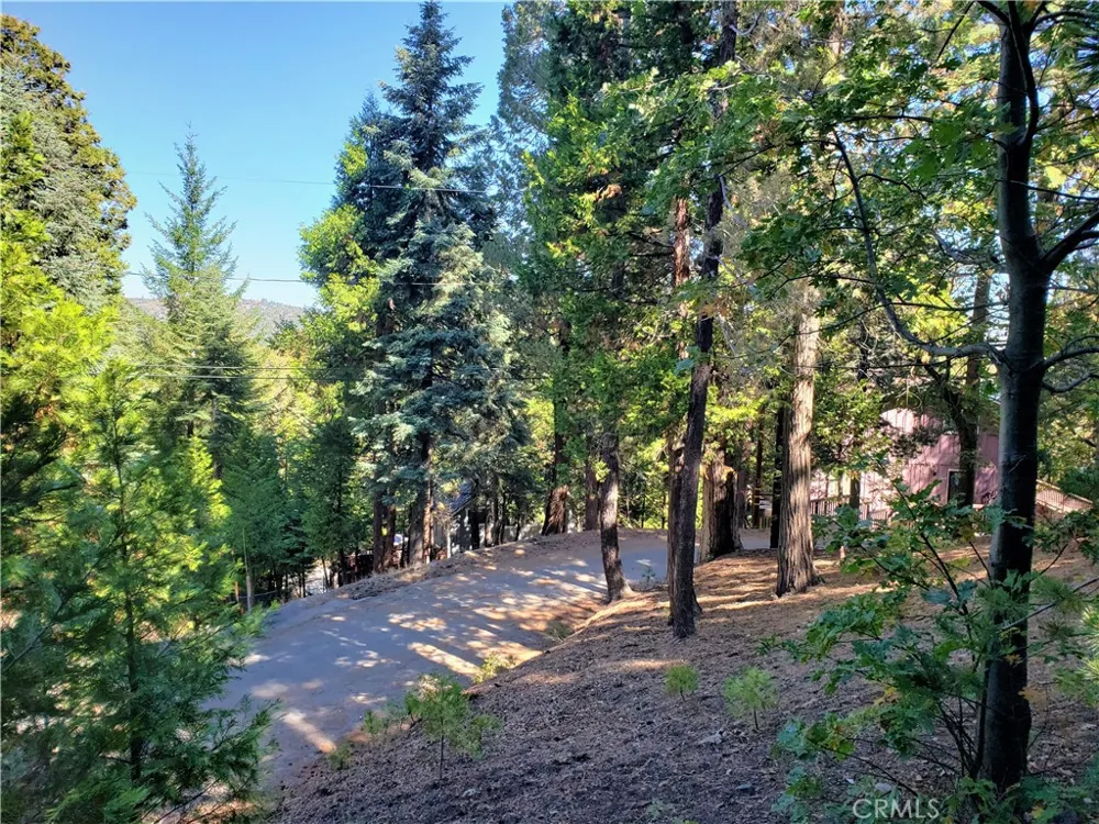 330 Castle Gate Road Lake Arrowhead, CA 92352