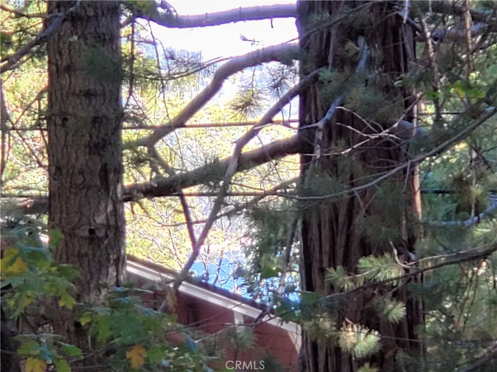 330 Castle Gate Road Lake Arrowhead, CA 92352
